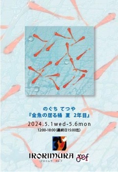 202405kingyo.jpg