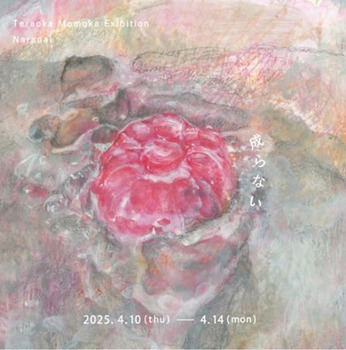202504naranai.jpg
