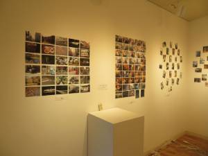 IMG_9533.jpg